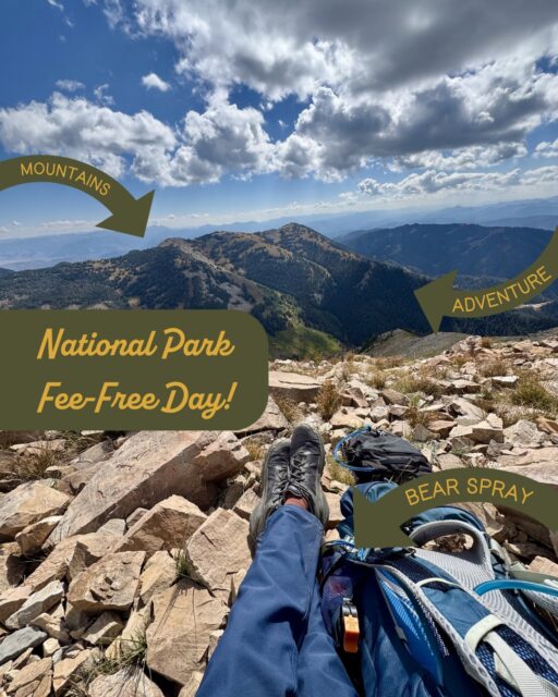 Accessibility is part of our mission. 
We want everyone to be able to enjoy, adventure, and experience our public lands without worrying about costs. It’s one of the reasons we developed Bear Spray Shack - to provide a cheaper alternative to purchasing (and probably never using) bear spray. This Memorial Day, we encourage you to take advantage of today’s free National Park entry! Get outside and enjoy your public lands. And if you’re in Glacier, Yellowstone, or Grand Teton National Park, remember to stay safe and carry bear spray.