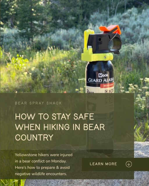 On Monday, hikers on the Mystic Falls Trail near Old Faithful were injured in a human-bear conflict. Details about the hikers, injuries, and bears have not been released. While incidents like this can be scary, they are infrequent and largely preventable. There are many ways to stay safe and avoid negative interactions with wildlife while hiking. Here are the facts: - You are extremely unlikely to have a negative bear encounter in Yellowstone. The park sees more than 4.7 million visitors every year, and there are about 5 grizzly-human conflicts each year in the park. Your chances of being involved in one of these conflicts is .0001%. You have a higher chance of being struck by lightning (.006%)! - Carrying bear spray WORKS! Studies have shown that deploying bear spray is over 90% effective in stopping charging bears. - Hiking in groups reduces your chances of surprising a bear, and of a bear attack. If you are visiting Yellowstone National Park this summer and need bear spray, check out our Bear Spray Shack rental machine at the Explorer Cabins in West Yellowstone! And take a look at our Safety page at the link in bio.