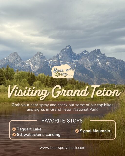 Visiting Grand Teton National Park this summer? Grab bear spray at our Colter Bay, Jenny Lake, or Elk Refuge Visitor’s Center rental machine and check out some our favorite sights in the park:
🥾 Taggart Lake: While the shorter route to the lake is closed for trail work this season, the longer 4.24 mile (out and back) option offers the same beautiful views and lakeside snacking opportunity. Before you head out, be sure to check the Grand Teton National Park website for construction updates in the Taggart Lake area.
🫎 Schwabacker’s Landing: Take a short side road off the main highway and you’ll find yourself next to the Snake River. This area is very popular with photographers in the early-morning hours, and for good reason. The alpenglow over the Tetons is amazing, and there are often moose munching on aquatic plants!
⛰️ Signal Mountain: A mountain you can drive up! Sweeping views of the valley, and the Teton and Gros Ventre mountain ranges. Bring binoculars or a spotting scope and check out the valley below for bison, wolves, and other wildlife. Make sure to look around you too, for deer and grouse on the mountaintop.
