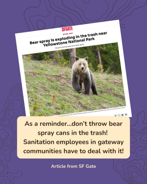 🚯 In case you needed another reason to rent instead of buy bear spray, it helps keep the cans out of the trash in gateway communities like Gardiner and Cooke City. Why is this important? Aside from the fact that it should be obvious not to throw away a pressurized container full of flammable contents, these canisters are actually causing a problem for sanitation workers at the transfer station in Park County, MT. Bear spray can explode as trash is moved or crushed, causing major delays and eye irritation for workers. Help keep bear spray cans out of the landfill, and keep money in your pocket - rent, don’t buy! Thanks to @sfgate  for mentioning us as an alternative option. Some additional options if you bought bear spray and didn't use it, and are ending your trip in the Jackson, Wyoming area: You can drop it at the Jackson airport prior to flying out. These canisters are then transported to the local recycling center. You can also drop off bear spray at the recycling center during business hours (M-F, 9-5) for a fee of $2 per canister.