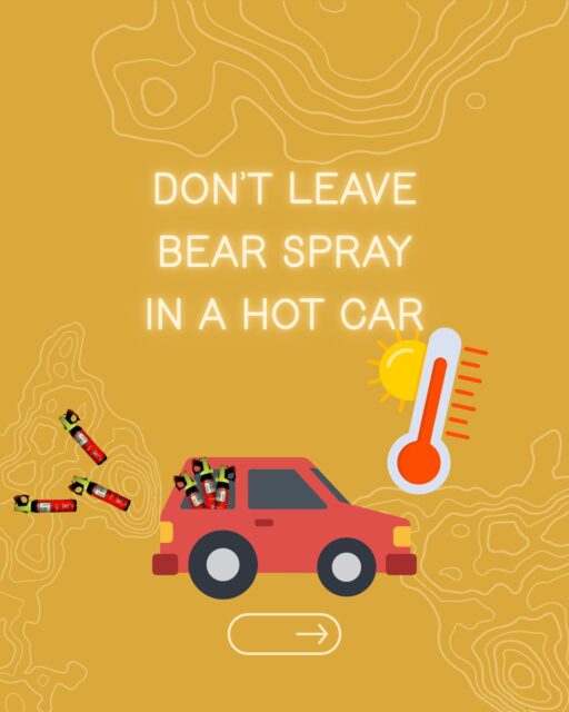 Just like sloppy joes and roller coasters, bear spray and hot cars don’t mix well and things can get messy fast.
🌡️ Don’t leave it in a hot car - ideal storage temps for a canister of bear spray are between 32-120 F. Above 120 degrees, increased pressure (over 200 pounds per square inch) inside the canister can cause the bear spray to deploy on its own…all over your car. Even with a window cracked, the inside of a parked car can reach much higher temperatures than the ambient outside air. In 84 degree weather, the interior of your car can reach 120 degrees in just 35 minutes. And objects inside the car get hotter than the air! According to the NWS, your car seat or dashboard can easily hit 200F, give off radiant heat, and further increase the interior temperature. And a ruptured bear spray canister can cause more damage than just having to clean the contents off your car. Canisters have cracked window glass as they exploded! In Yellowstone in 2024, a canister left inside a car launched through the windshield and landed 200ft away. The owner of a car detailing shop in Cody told @cowboystatedaily that standard PPE (personal protective equipment) would likely not be enough for this kind of cleaning job, and that most of the vehicle interior would need to be disassembled.