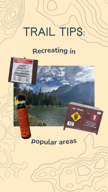 Even when you are on the shore of String Lake, two minutes from your car, you are still in bear country! Remember to always keep your bear spray handy, your backpack within reach, and never leave food unattended. Popular lakeshore and picnic areas often have bear boxes available - use them!
According to Yellowstone’s bear biologist, bear boxes are the most successful method to prevent bears from becoming conditioned to human food. You can even sponsor a bear box through @ynpforever