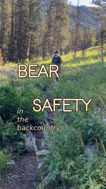 🏔️ Bear Safety in the Backcounty 🐻
🥑 When you arrive at camp, check to see if there is a bear box, and store your food and scented items inside. This includes trash, stoves and fuel, dishes, toiletries, bug spray, and sunscreen.
🥘 If food is out (for a meal etc), keep it within arms reach.
🎒 Never store food inside your tent or backpack.
👋 Keep bear spray where you can reach it overnight
🗑️ Throw away all scented trash, wrappers/bags, and food debris in the nearest bearproof trash can
🦴 If you encounter a carcass on the trail, return the way you came. Bears often guard carcasses, and there can be several bears nearby a single carcass.
Backpacking-specific tips:
🏕️ Food can be stored in a bear canister at least 100 feet from your campsite. Choose a flat area away from water or cliffs. You can also put pots and pans on top of the bear canister, so you will be alerted if anything disturbs it overnight. In some parks, like Grand Teton, you can check out a free bear canister with your backcountry permit.
🧼 Cook, clean dishes, and brush your teeth away from the campsite to keep smells away from your sleeping area.
🍬 When leaving camp, make sure to pack out all wrappers and food debris.