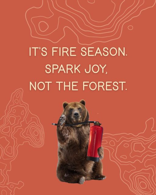 Betty lives in the woods and saw some shenanigans from park visitors last weekend. So let’s do a refresher on fire rules and safety!

- August and September are the peak months for large scale fires. 
- 22% of fires in Yellowstone are caused by people
- Grand Teton National Park will average 10 unplanned fires (six natural starts and four human-caused fires per year). The Teton area is expected to have above-normal fire activity this August.
- According to Glacier National Park, most of the fires within park boundaries are natural, but in the state of Montana, 75% of fires are human-caused.
Driving:
- Don’t park on dry grass - this is a potential ignition source if it comes in contact with a hot tailpipe/vehicle. 
- Starting June 22nd, in Grand Teton National Park (and the Bridger-Teton National Forest and National Elk Refuge) you are not allowed to smoke ”except in an enclosed vehicle or building, a developed recreation site, or while stopped in an area at least three feet in diameter that is barren or cleared of all flammable materials.” But don’t throw cigarettes out the car window!