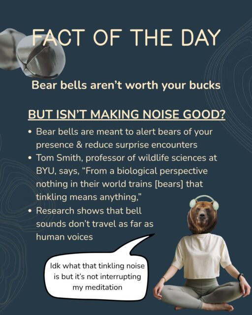 You might have seen a fellow hiker jingling around like it’s Christmas in July, or maybe you have some bear bells of your own. But…do bear bells keep you safer, or are they just part of a backcountry band? 🔔

Bear bells are marketed as a way to alert bears of your presence and reduce surprise encounters, rather than deter them. But is the bell worth your bucks? Tom Smith, a professor of wildlife sciences at BYU in Provo, UT says “From a biological perspective nothing in their world trains them that tinkling means anything.” His research also indicated that bears ignored human voices at normal conversational volume, but took note once they reached 110 decibels. Other research has shown that bell sounds reach shorter distances than human voices. 🗣️

What actually works: Bears might not hear your bear bells, especially if they are small or you’re hiking in heavy wind or near water. If bears do hear the bells, they’re probably not thinking “That’s a human being, and I should move away.” Clapping, loudly saying “hey bear!” and hiking in a group beats a bell. 👏