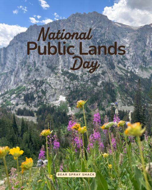 🌲 National Public Lands Day is an annual celebration organized and led by the National Environmental Education Foundation, in partnership with the National Park Service and other federal agencies. This year’s theme is ‘Together for Tomorrow,’ which they describe as “stewarding America’s natural resources for future generations to enjoy.”
🏞️ Volunteer events are held across the country - check out your local public land agency’s website to find one near you. 
⚒️ Even if there aren’t local events, you can practice good stewardship! There might be an organization near you that recruits volunteers for trail building or maintenance. 

And on your own, remember: When recreating outside, leave no trace and pack out your trash. Bonus points for keeping an extra plastic bag handy to grab rogue trash that others left behind. Always obey fire restrictions and put out campfires fully. Stay on trails, avoid crosscutting, and choose established campsites whenever possible. And remember to have fun on YOUR public lands!