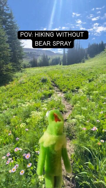 Not illegal, but it feels like it. Even though carrying bear spray isn’t REQUIRED and nobody will give you a TICKET, you should still carry it. Keep yourself safe, keep the bears from getting into trouble (and therefore keep them safe), and keep the park from having to send rangers to save you from a marmot you thought was a bear.