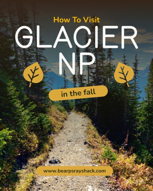 Planning to visit Glacier National Park this Fall? Remember to know closure dates for lodging and stores, check trail conditions, bring warm layers, watch for interesting wildlife behavior, and don’t skip the BS (bear spray)!
🚧 Check seasonal road closures and potential incoming weather before arriving. The first significant snowfall often occurs in October and may close certain roads. Visitors centers, lodges, hotels, campgrounds, grocery stores, and bathrooms are usually closed by mid-October. Plan to base yourself outside the park in Kalispel, Columbia Falls, or Whitefish, MT.
🐻 Need bear spray? Bear Spray Shack's partners Hyatt Studios (Kalispell) and @wonderstoneusa (Columbia Falls) have you covered!
🧤 Bring extra warm layers, food, and water. Daytime highs in the park average in the 50s and nighttime lows in the 30s. Trails above 4,000ft may be icy - bring winter layers and consider traction devices (like microspikes) and gaiters to keep snow out of your shoes.
⏰ Time your activities well. The sun sets earlier at this time of year - around 6:15pm by late October. Consider planning shorter hikes so you can be back at the trailhead well before sunset. Fall is also a great time for wildlife viewing - there are fewer crowds, and it’s the peak of the moose and elk rut. Bears will also be more active in the fall as they eat 22 hours a day to prepare for hibernation. You might try an hour of wildlife watching before or after your hike, as dawn and dusk are often the most active times.
🍁 Enjoy the changing seasons. While peak fall colors occur in September-early October, there are still some on display later on. The western larch’s needles turn yellow in mid-October, before falling off for the winter. Yes, there is such a thing as a deciduous conifer! Highway 2 at the south end of the park offers some of the best roadside larch-peeping. You can also walk trails like the South Boundary Trail or Loneman Lookout.